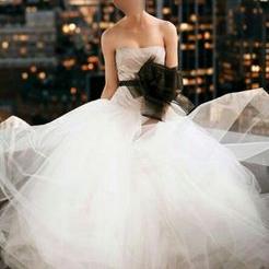 Profile Picture of Blank Irison Twitter