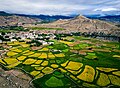 Profile Picture of Lomanthang Rural Municipalityon Wikipedia