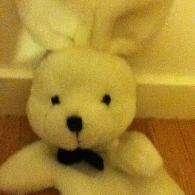 Profile Picture of Mr Lapin (@BobTami) on Twitter