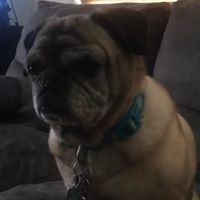 Profile Picture of John Frost (@john-frost-69) on Quora