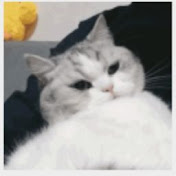 Profile Picture of Chloe Zheng (@chloezheng4625) on Youtube