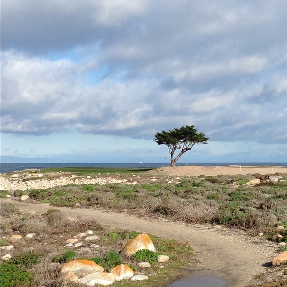 Profile Picture of Xuan Xu (@trainxx) on Poshmark