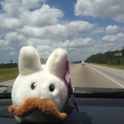 Profile Picture of Ed Zachary (@EdZacharyRabbit) on Twitter