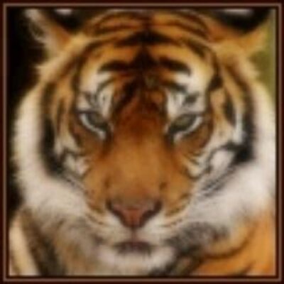 Profile Picture of Paul Chilton (@PaulChilton2) on Twitter