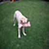 Profile Picture of colin_todd@btinternet.com (@colin_todd@btinternet.com) on Flickr