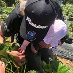 Profile Picture of Kody Matthews (@baccy_chan19) on Instagram