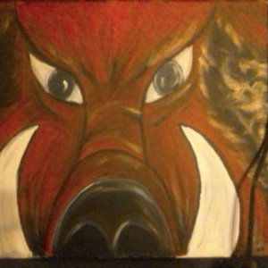 Profile Picture of Janet Burton (@JanetJb91jo) on Twitter