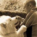 Profile Picture of Mark Channell (@markchannell1) on Pinterest