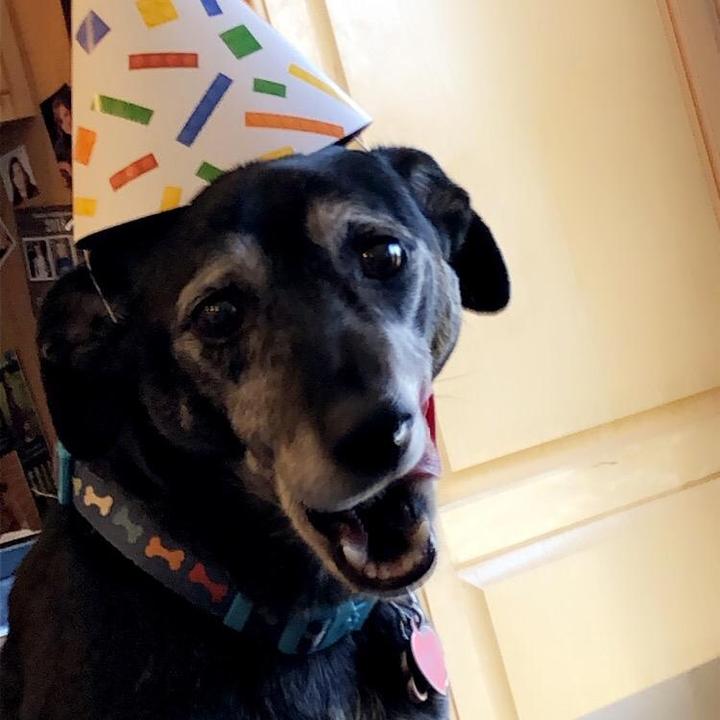 Profile Picture of Sean Wads (@sean_wads27) on Tiktok