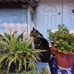 Profile Picture of Eric plankton (@eric_plankton_007) on Instagram