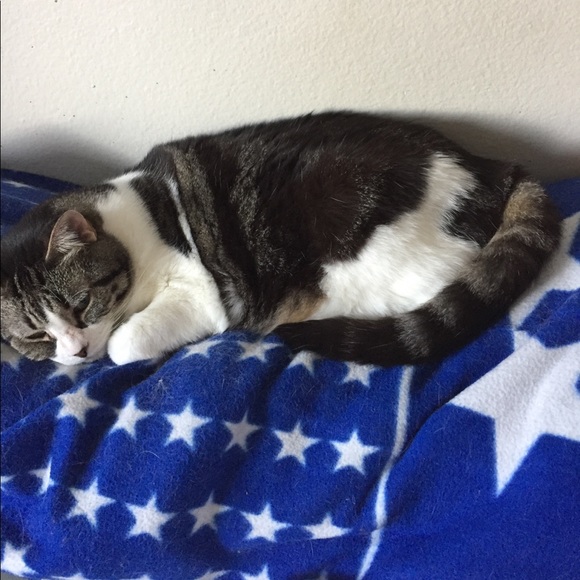 Profile Picture of Lynne Veling (@lveling) on Poshmark