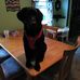 Profile Picture of Cathy Matteson (@cathy.matteson.75) on Facebook