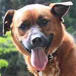 Profile Picture of Sinjin Dell (@sinjindell) on Flickr
