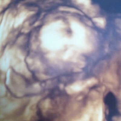 Profile Picture of Ashley Marlin-Sisson (@@lex_xander_josh) on Twitter