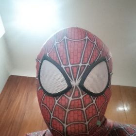 Profile Picture of Peter B. Palomo (@vincentpalomo956) on Pinterest