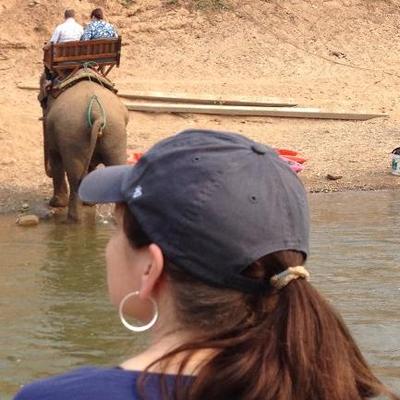 Profile Picture of Sharon Combes-Farr (@sharon_combes) on Twitter