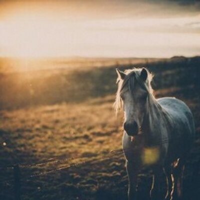 Profile Picture of Iris Holmes (@luver6193) on Twitter