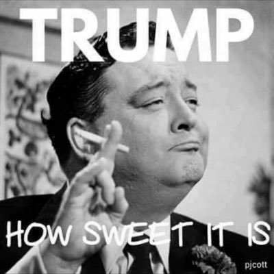 Profile Picture of MAGA/Trump (@BoazJanet) on Twitter
