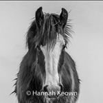Profile Picture of Hannah Keown (@hannahkeown.lr) on Instagram