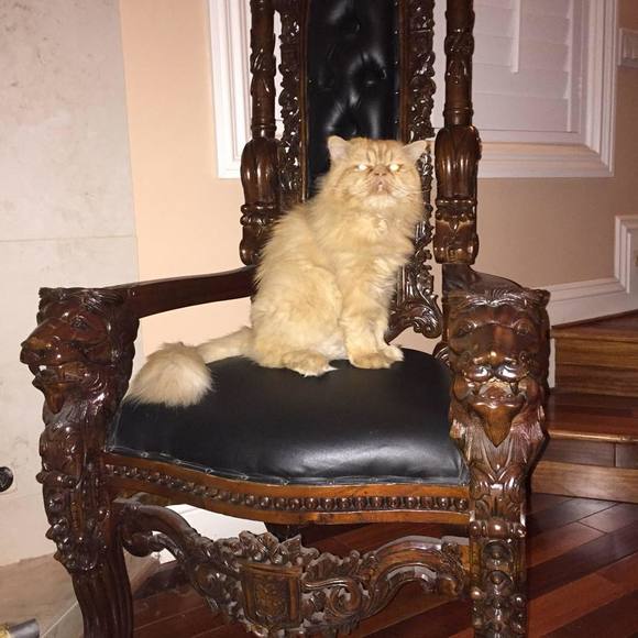 Profile Picture of Payam Tabankia (@dr2pie) on Poshmark