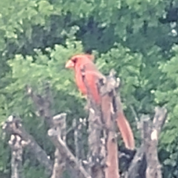 Dee Payne - Poshmark Profile Picture of Dee Payne (@nikkol178) on Poshmark