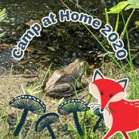 Profile Picture of Kris Bradley (@kris-bradley-20) on Quora