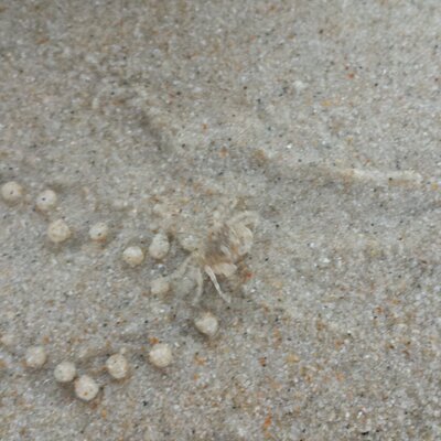 Profile Picture of Dan Cai (@caidan7) on Twitter