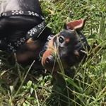 Profile Picture of Edgar James (@siredgarjames) on Instagram