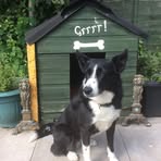 Profile Picture of Dizzy McManus (@Dizzy-McManus) on Facebook