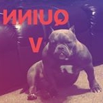 Profile Picture of Shelly (@shellypowers2) on Instagram