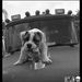 Profile Picture of Robert Holgate (@bo57bo) on Pinterest