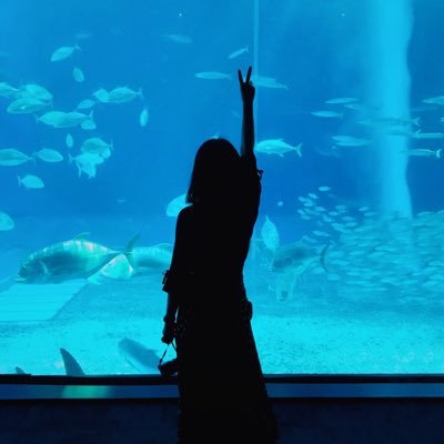 Profile Picture of Julia (@JuliaGuo0617) on Twitter