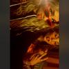 Profile Picture of Ella torrence (@@ellatorrence5) on Tiktok