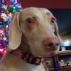 Profile Picture of Julia.stout (@@12765o2) on Tiktok