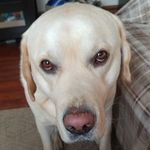 Profile Picture of Tina Scott Levan (@tinascottlevan) on Instagram