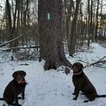 Profile Picture of Bill Moore (@kitchen2218) on Instagram