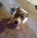 Profile Picture of Ryan Corsaro (@Ryan-Corsaro) on Facebook
