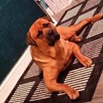 Profile Picture of Karren Adams (@adamskarren) on Instagram