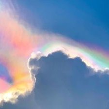 Profile Picture of Moe Lester (@allan_mwamba) on Twitter