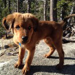 Profile Picture of Ben Kasper (@kenbasper) on Instagram