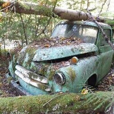 Profile Picture of Bill Hutton (@oldcrowbird) on Twitter