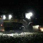 Rodrigo llamas blanco - Instagram Profile Picture of Rodrigo llamas blanco (@rodrigo_estebanez_2016) on Instagram