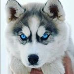 Profile Picture of james hiser (@james.hiser) on Instagram