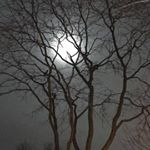 Profile Picture of Mike Ernest (@mike_berts) on Instagram