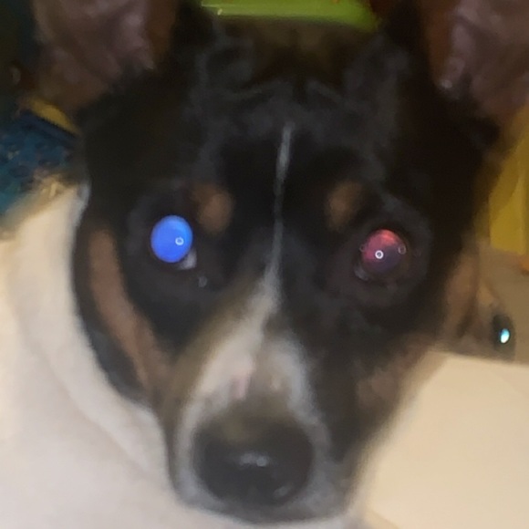 Profile Picture of Sky Lee (@skylee421) on Poshmark