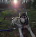 Profile Picture of David Hilton (@david.hilton.7902) on Facebook