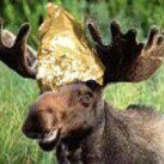 Profile Picture of Thecrazy Moose (@sandraudiga069) on Instagram