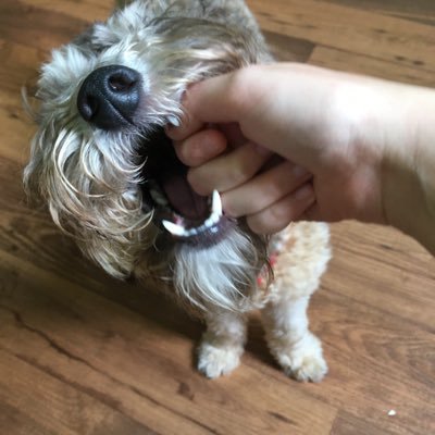 Profile Picture of Ethan_curry (@Ethancurry14) on Twitter