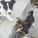 Profile Picture of Kate Terry (@katyusha) on Pinterest