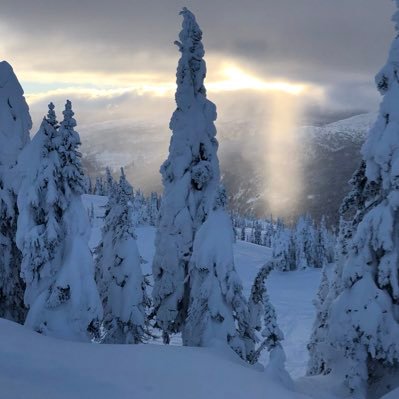 Profile Picture of Ethan (@ican_see4miles) on Twitter